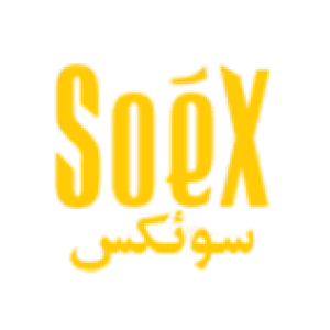 Soex - logo